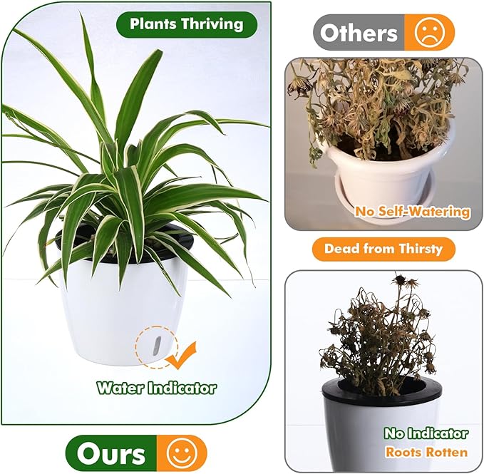 Planterhoma 5 Inch Self Watering Pots for Indoor Plants, 10 Packs African Violet Pots with Indicator, Black Wick Pot with Drainage Holes, Self Watering Planters for Orchid, Devil's Ivy, White