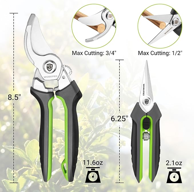 WORKPRO Garden Pruning Shears 2 Pack, 8.5" Bypass Pruning Shears and 6.25" Straight Garden Flower cissors, Garden Clippers Hand Tools for Cutting Flowers, Trimming Plants, Picking Fruits