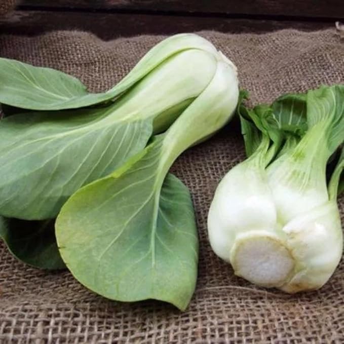 ZEshops Chinese Cabbage Seeds for Planting – 1000 Seeds Fast Growing Leafy Vegetable Seeds for Outdoor Garden or Containers, Easy to Grow Home Garden Seeds