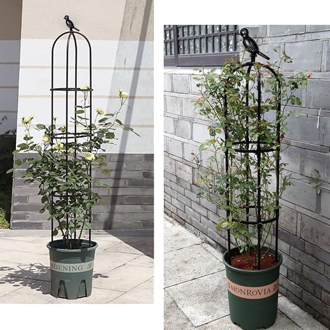 Garden Trellis for Climbing Plants Outdoor, Metal Plant Trellis with PE Coated, Rustproof Plant Support for Flowers Vegetable Vine, Tomato cage for Potted Plants Indoor Outdoor,Lightweight - 1 Pack