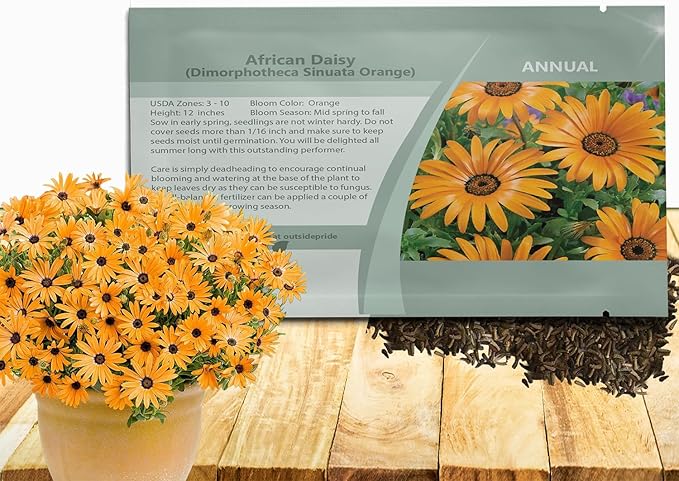 Outsidepride Orange African Daisy Seeds - 2000 Pcs. Annual Flower Seeds for Planting Outdoors with Long-Lasting Blooms, Drought-Tolerant, Easy to Grow for Sunny Gardens & Borders