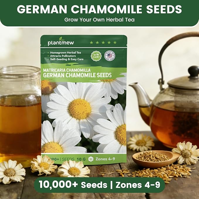 German Chamomile Seeds for Planting - 10,000+ Non-GMO Heirloom Seeds (Matricaria chamomilla), Homegrown Herbal Tea, Attracts Pollinators, Self-Seeding, USDA Zones 4-9, Medicinal Herb