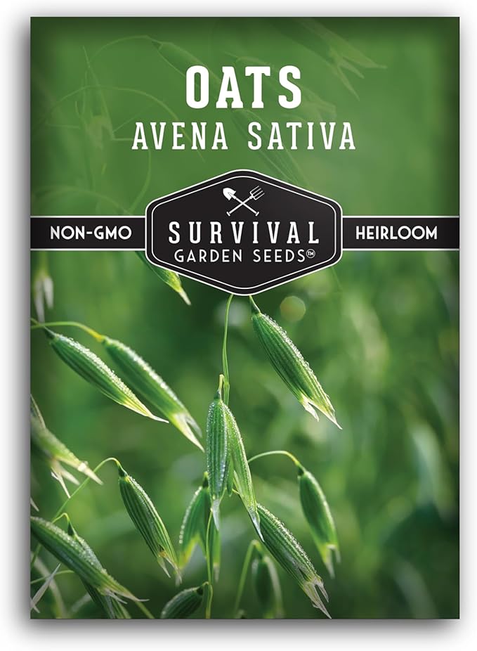 Oat Seeds for Planting – Heirloom Avena Sativa Milky Oats Medicinal Herb & Oatstraw for Tea, Tinctures, and Cover Crops – Heirloom Non-GMO Seeds – Survival Garden Seeds (1 Pack)
