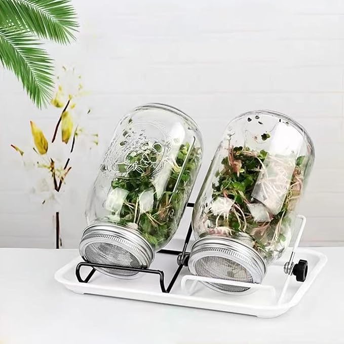 10 Pack Sprouting Lid for Mason Jar, Mesh Stainless Steel Sprouting Jars Lids, Mesh Bean Sprout Sieve Lids for Growing Bean, Seeds and Broccoli (82mm)