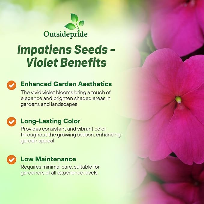 Outsidepride Premium Violet Impatiens Flower Seeds - 200 Pcs Annual, Compact & Pollinator Friendly, Impatiens Seeds for Planting w/Vibrant, Abundant Blooms for Shade Gardens & Container Displays