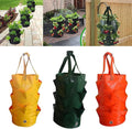 3 pcs Hanging Planter Bag with Handles, Plastic Hanging Strawberry Planting Containers Strawberry Grow Bags Foldable Durable Growing Bags Grow Planter for Growing Vegetables Flowers Herb Plant