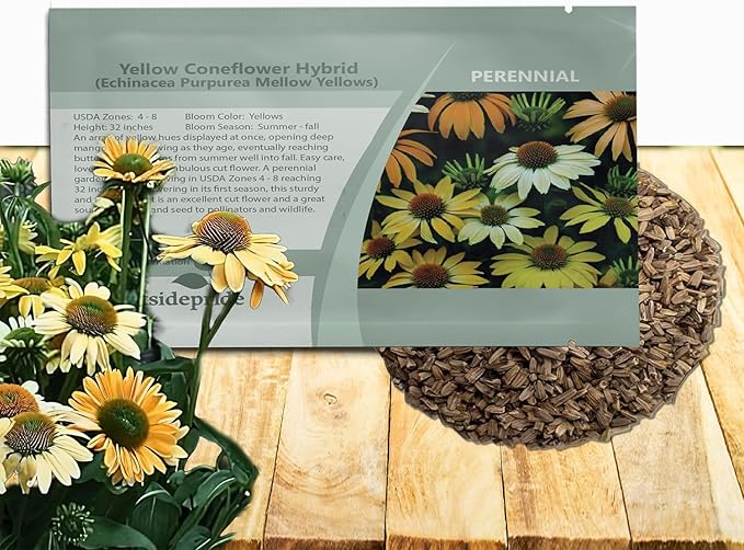 Outsidepride Mellow Yellows Echinacea Coneflower Seeds - 50 Pcs Perennial, Deer-Proof & Drought Tolerant Flower Seeds with Daisy-Like Blooms for Pollinator-Friendly Gardens, Borders, & Meadows