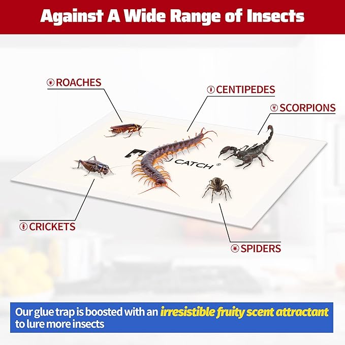 LULUCATCH Cricket & Insect Glue Traps 24 Pack, Adhesive Bug Catcher, Pre-Baited Spider Scorpion Trap, Non-Toxic Glue Boards Indoor for Home Catching Bugs, Mice & Rodents, Pet Safe Pest Control