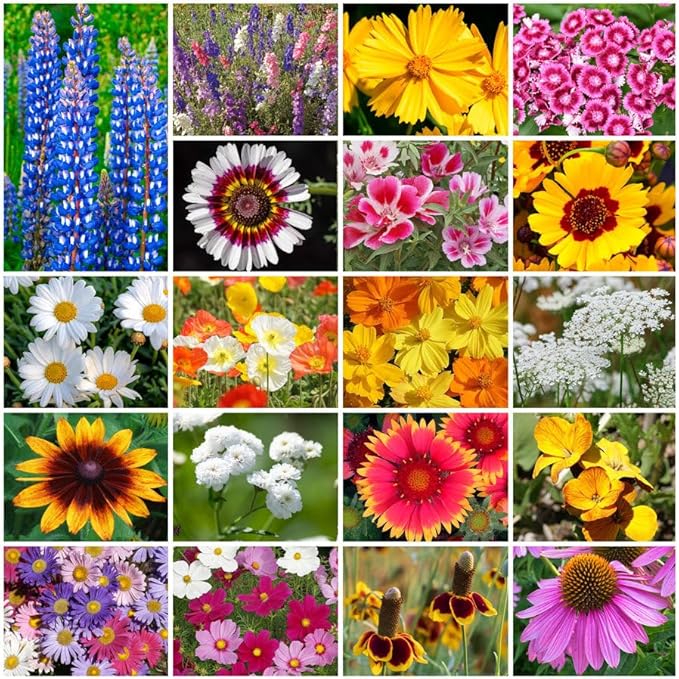 Grow Your Own Vibrant Annual and Perennial Wildflower Garden Seeds Mixture, Varieties for Pollinators and Spring Gardens - Cutting Garden Mix, 1 lb