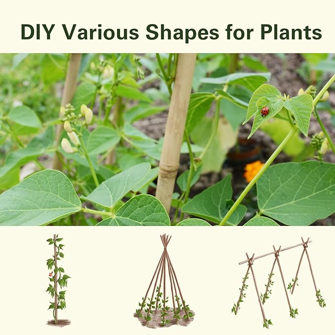 Bamboo Stakes 57 Inch, Approx 5FT Garden Stakes Multi-Purpose, Plant Stakes for Tomatoes, Beans, Cucumbers, Peppers, Flowers, Potted, Maintain The Plant Posture, Strengthen and Stem