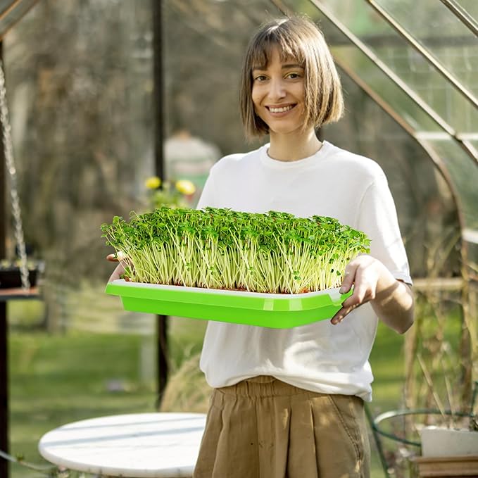 Pack of 6 Microgreens Growing Kit, Microgreen Trays for Seed Sprouter, Sprouting Tray with Lid for Growing Fresh Sprouts, Wheat-Grass, Alfalfa Seed Germination (Microgreens Growing Kit)