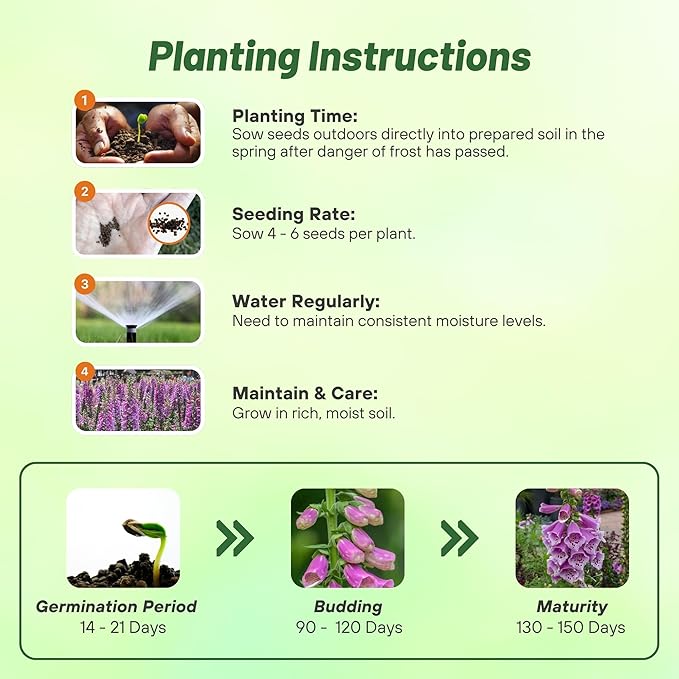 Outsidepride Digitalis Purpurea Dalmatian Purple Foxglove Seeds – 50 Pcs Perennial, Prolific, Tall Growing Flower Seeds with Pollinator-Friendly Blooms for Shaded Gardens & Outdoor Landscapes
