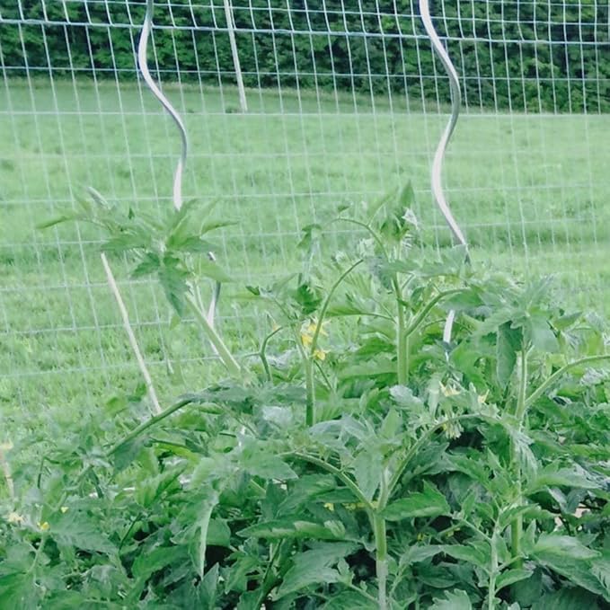 10 Pack Aluminium 72 inch Height Dia 10mm Twisted Tomato Stakes Plant Supports Spiral Tomato Cages,Climbing Plant Stake Tower Plant Supports Twist Tomato Stakes
