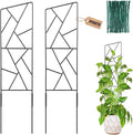 Outdoor Plant Trellis for Climbing Plants,Metal Garden Trellis for Potted Plants,Plant Stakes for Indoor Plants Accessories Hoya,Flower,Plant Support,Plant Gifts (24Inch-Window)
