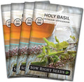 Sow Right Seeds - Holy Basil Tulsi Seed for Planting - Culinary Herb to Plant in Your Garden - Indoors or Outdoors - Ayurvedic Medicine and Tea - Non-GMO Heirloom Seeds - Great Gardening Gift (4)