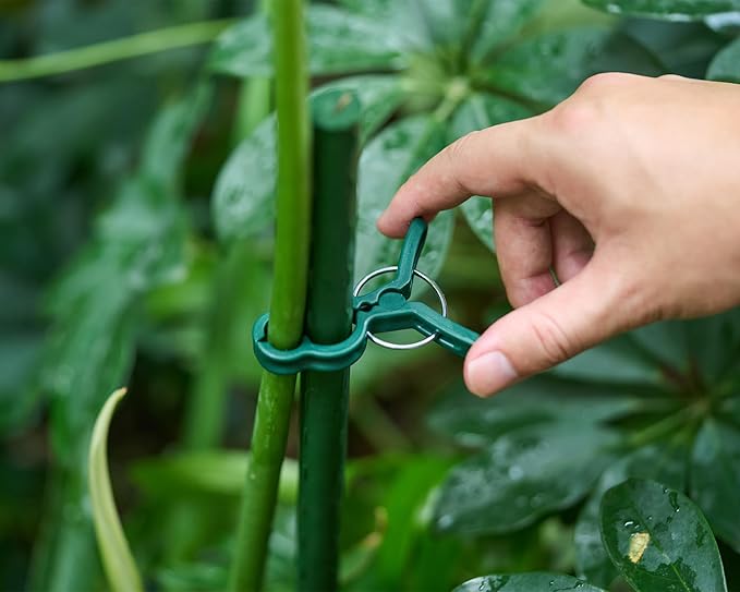 Garden Plant Clips 50 Pack Small Size Dark Green, Reusable Garden Plant Supports Clips for Supporting Stems of Flower Vine Vegetables Tomatoes Climbing