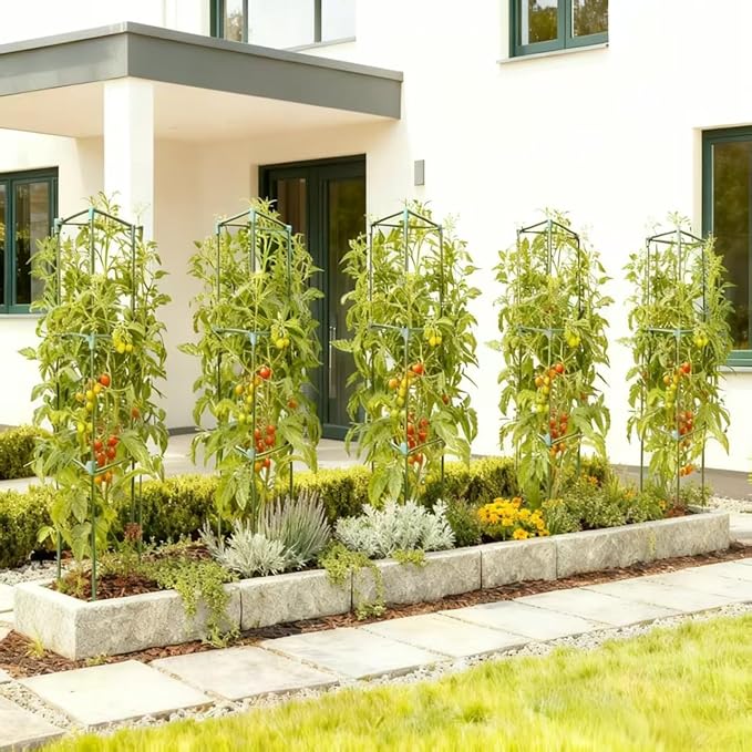 Tomato Cages for Garden&Pots, 2 Pack 50" Plant Support Trellis for Tomatoes, Cucumbers, Beans | Heavy-Duty Steel with Rust-Proof Coating | Garden Stakes for Outdoor Indoor Plants