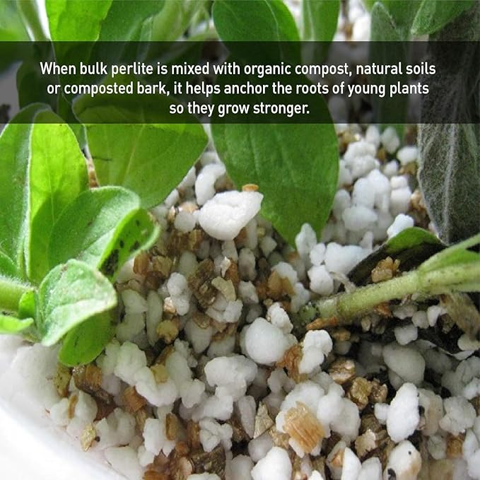Organic Perlite Planting Soil Additive, White, 4-Cubic Feet