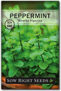 Sow Right Seeds - Peppermint Seeds for Planting - Non-GMO Heirloom Packet with Instructions for Easy Planting and Growing an Herbal Tea Garden - Indoors or Outdoor - Medicinal & Culinary (1)