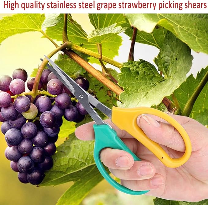 Garden Scissors, Stainless Steel Garden Bonsai Pruning Shears, Anti-Slip Softgrip SnipGardening Tools Garden Shears for Plants Herb (Modern)