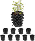 RooTrimmer 1 Gallon Air Pruning Containers, New Plastic Nursery Pots, Fruit Vegetable Garden Self-Planting Pots, Black (1G-10P)