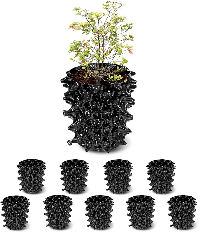 RooTrimmer 1 Gallon Air Pruning Containers, New Plastic Nursery Pots, Fruit Vegetable Garden Self-Planting Pots, Black (1G-10P)