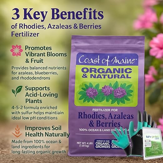 Coast of Maine RH6001 Rhody, Azalea & Berries Plant Food 4 LB – Organic Acidic Soil Fertilizer with My Garden Pool Soil Test Strips & Claw Gardening Gloves