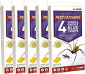 J T Eaton 076706844002 Spider and Cricket Glue Trap (Pack of 5), White Box