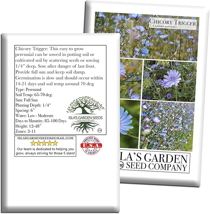 Trigger Chicory Flower Seeds (Cichorium intybus) – 1500+ Heirloom Non-GMO Seeds by Isla’s Garden Seeds, Blue Chicory Wildflower, Pollinator-Friendly Meadow Blooms, Naturalized Landscape Flower, Herb