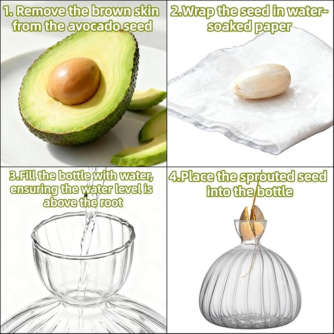 Avocado Seed Sprout Starter Vase Planter Pot, Avocado Tree Growing Vase Glass Container, Clear Striped Glass Propagation Jars for Hydroponics Plants Home Office Decoration