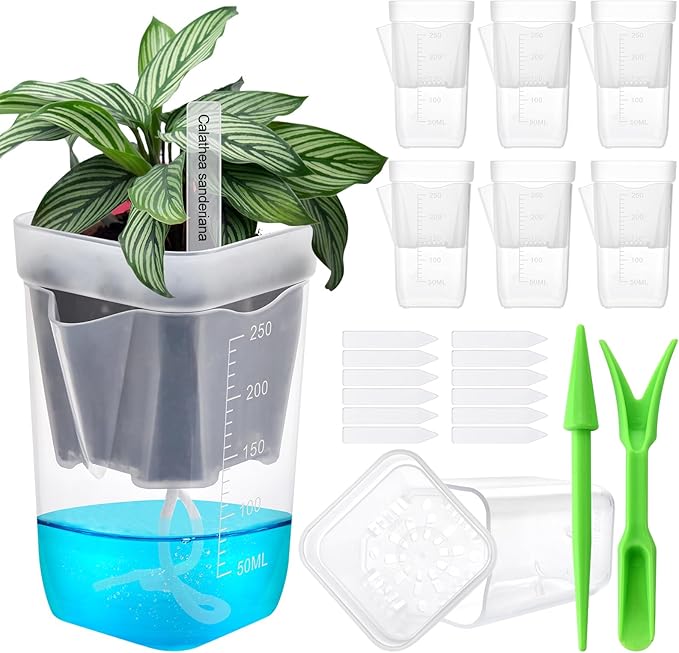 6PCS Mini Self Watering Pots for Indoor Plants, 2.5" Small Clear Planter with Wicks & Water Level Indicator, Plastic Automatic-Watering Pot for African Violet, Succulent, Alocasia, Hoya, Plant Label