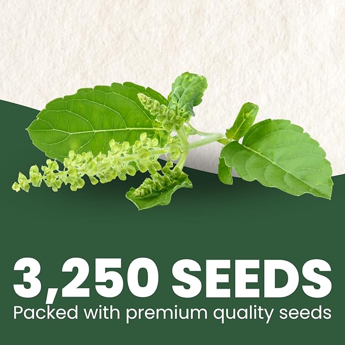 Tulsi Holy Basil – 3,250 Premium Seeds for Planting – Aromatic, Sacred, Vigorous Growth for the 2026 Season – 1 Gram Pouch
