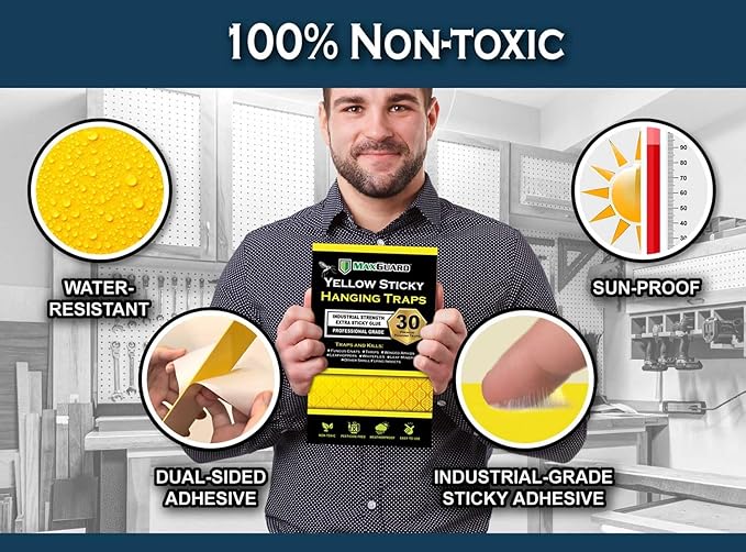 MaxGuard (20 Pack) Yellow Sticky Hanging Traps - Catch and Kill Fungus Gnats, Whiteflies, Mosquitos, Aphids, Leaf Miners, Flying Insect Catcher Glue Trappers for Indoor or Outdoor