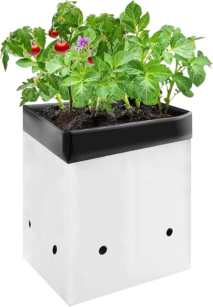 VIVOSUN 50-Pack 5 Gallon Grow Bags for Plants, Black-and-White Thick Plastic Bags for Potting Seedlings, and Rooting