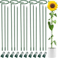 Unves 36 Inch Plant Stakes Tall, 5 Set Plant Support Stakes for Indoor or Outdoor, Three Sizes(12 or 24 or 36 Inch) Garden Plants Cages Support Rings for Flowers Tomato Amaryllis Lily Peony Rose