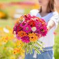 Eden Brothers Zinnia Seeds - Cactus Flowered, Non-GMO Seeds for Planting, 1/4 lb | Low-Maintenance Flower Seeds, Plant During Spring, Zones 3, 4, 5, 6, 7, 8, 9, 10
