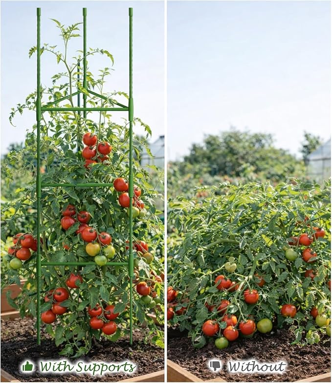 Growsun 51 inch Tomato Cage Heavy-Duty Plant Support Cucumber & Vine Vegetables – Adjustable Green Metal Garden Trellis for Climbing Plants, Indoor & Outdoor Use, 6 Pack