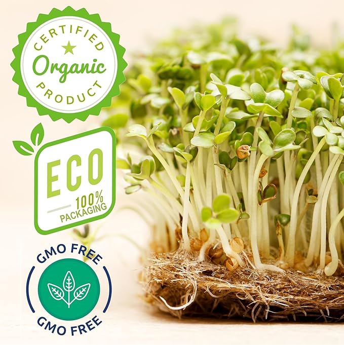 Broccoli Sprouting & Microgreens Seeds x 1 lb. Organic, Non-GMO, Heirloom Sprout Seeds Kit, Bulk Resealable Container for Growing Superfood Sprouts and Microgreens