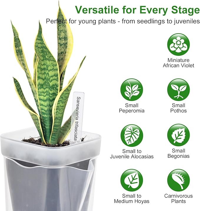 6PCS Mini Self Watering Pots for Indoor Plants, 2.5" Small Clear Planter with Wicks & Water Level Indicator, Plastic Automatic-Watering Pot for African Violet, Succulent, Alocasia, Hoya, Plant Label