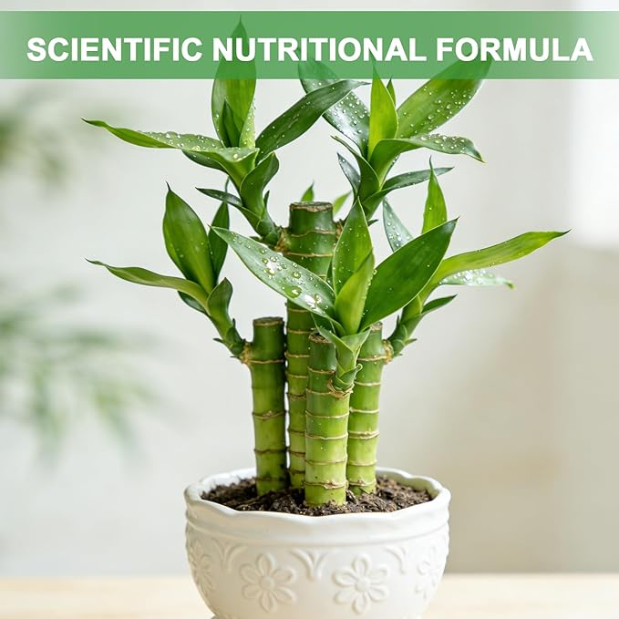 Pure Natural Potting Soil for Lucky Bamboo Plants 4qt- Superior Drainage & Breathability, Ideal Indoor Plant Soil