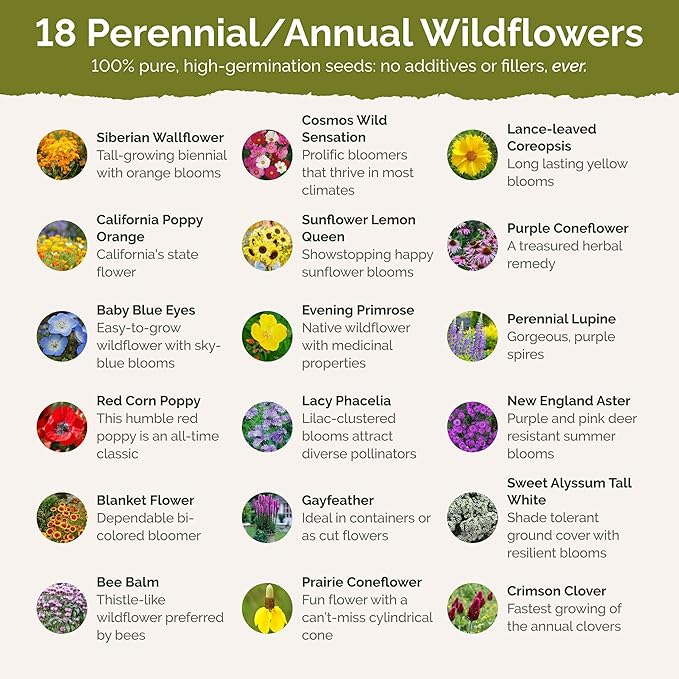 Eden Brothers Wisconsin Wildflower Mixed Seeds for Planting, 1/4 lb, 120,000+ Seeds with Sunflower, Aster | Attracts Pollinators, Plant in Spring or Fall, Zones