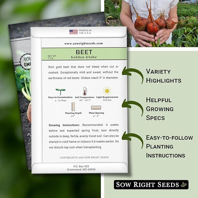 Sow Right Seeds - Golden Globe Beet Seeds for Planting - Non-GMO Heirloom Packet with Instructions to Plant & Grow an Outdoor Home Vegetable Garden - Nutritious, Cold Hardy, Vigorous and Productive