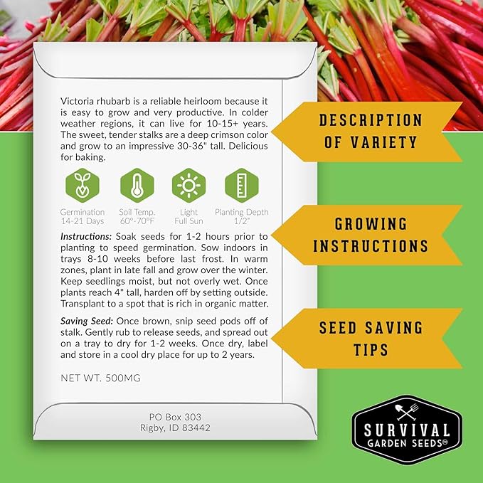 Victoria Rhubarb Seeds for Planting - Grow Cold-Tolerant Perennial Spring Fruit/Vegetables in Your Home Garden - Non-GMO Heirloom Variety - Survival Garden Seeds (5 Packs)