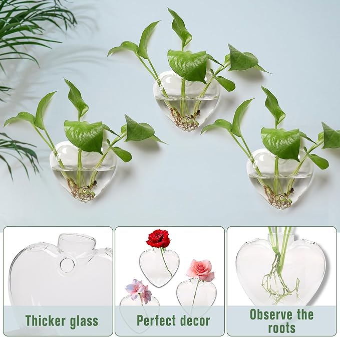Wall Hanging Planter Propagation Station for Indoor Plants Glass Vase Air Plant Holder Gift for Women Girlfriend Plant Lover
