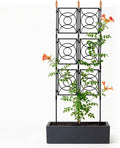Trellis for Climbing Plants Outdoor, 24 Rifny Tall Garden Trellis Flower Rose Cucumber Trellis for Vines Pea Support, Wall Large Plant Trellis Fence with Plastic Screen Frame, 2 x 6.2 FT