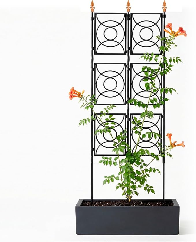 Trellis for Climbing Plants Outdoor, 24 Rifny Tall Garden Trellis Flower Rose Cucumber Trellis for Vines Pea Support, Wall Large Plant Trellis Fence with Plastic Screen Frame, 2 x 6.2 FT