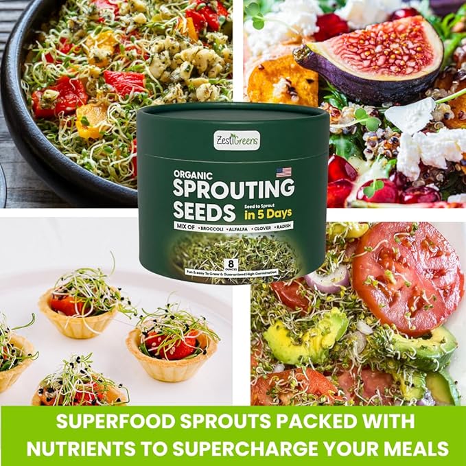 ZestiGreens Fresh Sprouting Seeds Mix Broccoli, Alfalfa, Radish, Clover Seeds in Food Grade Colorful Container with Lid for Easier Scooping & Keeping Fresher (0.5 lb)