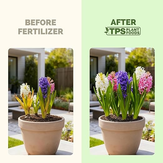 Bulb Fertilizer – Liquid Plant Food for Bigger Blooms & Stronger Bulb Development, 32 oz