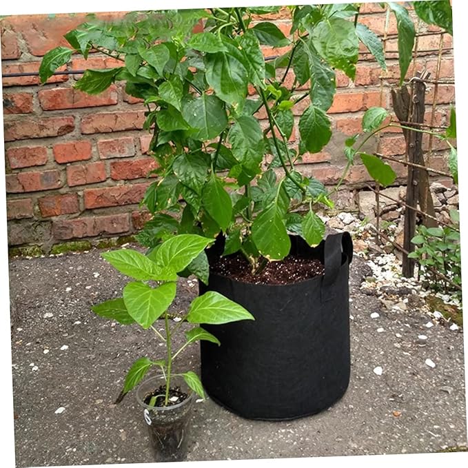 BESPORTBLE 6pcs Plant Growing Bags with Handles Nonwoven Nursery Pots for Vegetables Flowers and Herbs Breathable Lightweight and Garden Bags for Indoor and Outdoor Use