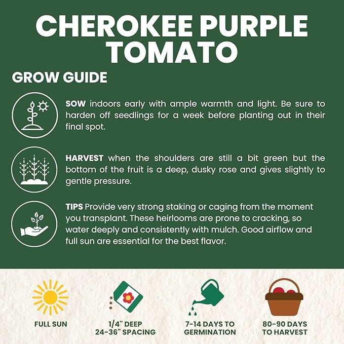Cherokee Purple Tomato – 125 Premium Seeds for Planting – Rich, Juicy, Historic Heirloom for The 2026 Season – 600 Milligram Pouch